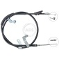 ABS K17303