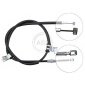 ABS K17037