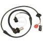 ABS 30007