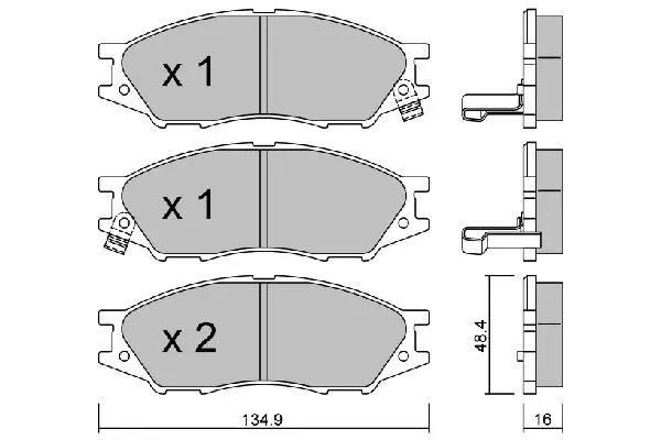 BPNI1013 