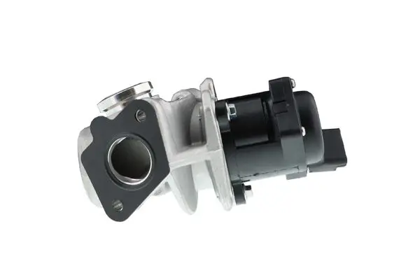 EGRAZ7005 