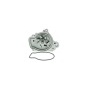 Aisin WPH051V