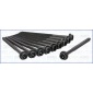 81025800 Комплект болтов ГБЦ VAG+Skoda