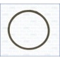 00538300 Прокладка термостата 00538300