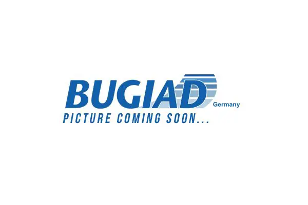 BUGIAD BIM17030 Модуль впускной трубы