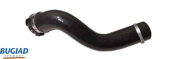 BUGIAD 82461 Charge Air Hose