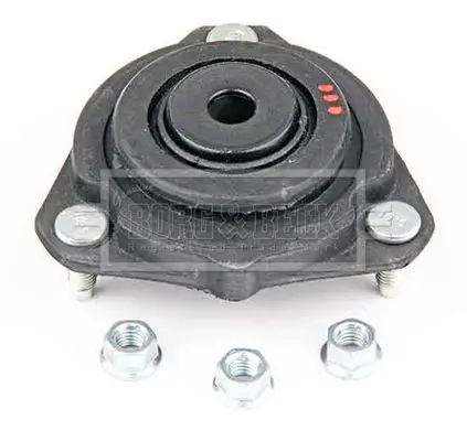 BSM5196 