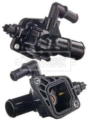 BBT271 