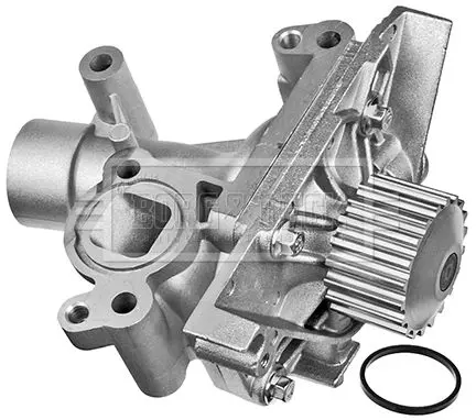 BWP2206 
