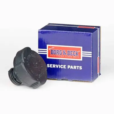BRC91 