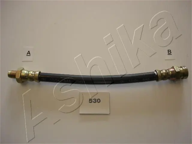 ASHIKA 6905530 Кронштейн