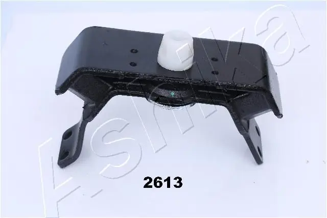 GOM-2613 