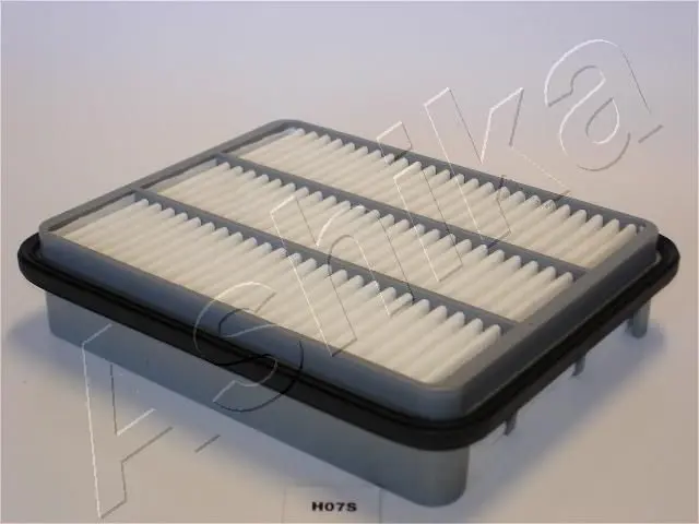 20-H0-007 Фильтр
