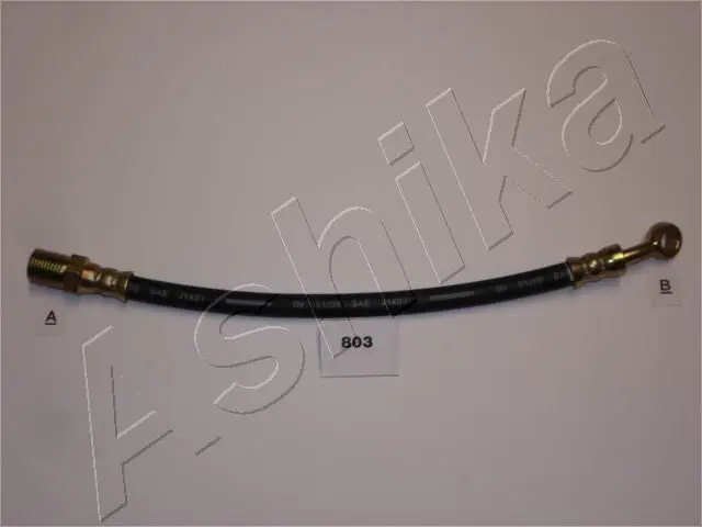 ASHIKA 6908803 Кронштейн