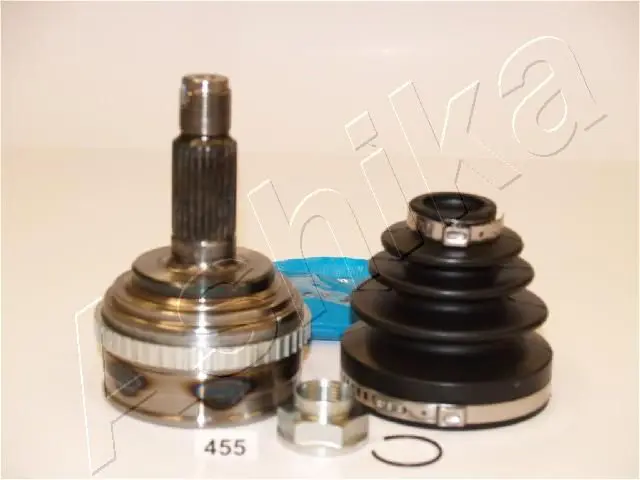 Ashika 6204455 Шарнирный комплект
