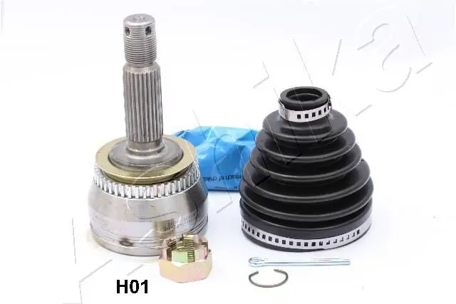 Ashika 620HH01 Шарнирный комплект