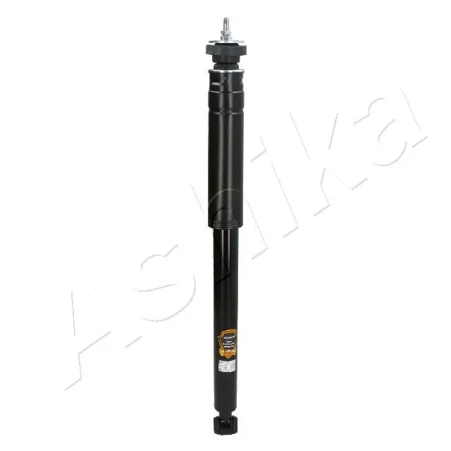 MA00955 