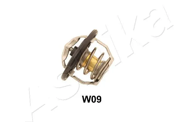 38-0W-W09 ТЕРМОСТАТ