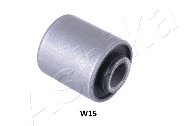 GOM-W15 Кронштейн