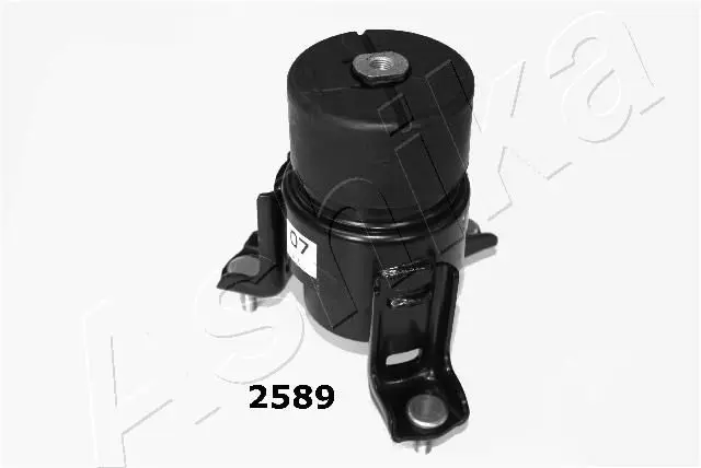 GOM2589 