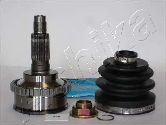 ASHIKA 6203318 Шарнирный комплект