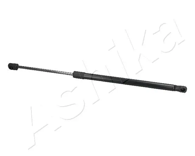 ZSA09060 