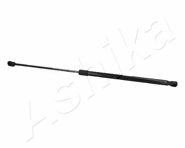 ZSA06061 