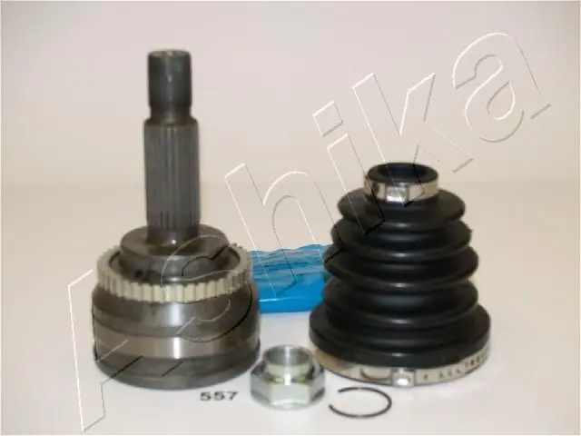 ASHIKA 6205557 Шарнирный комплект