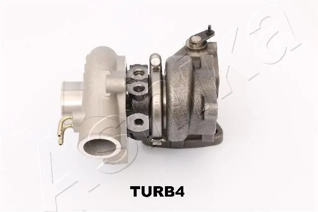 TURB4 