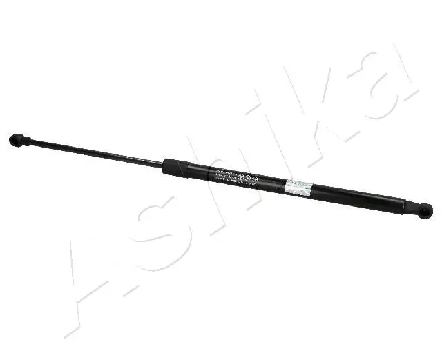 ZSA01081 