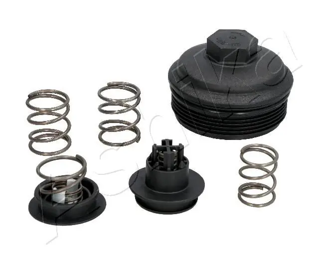 ASHIKA 16000028 Крышка, корпус масляного
