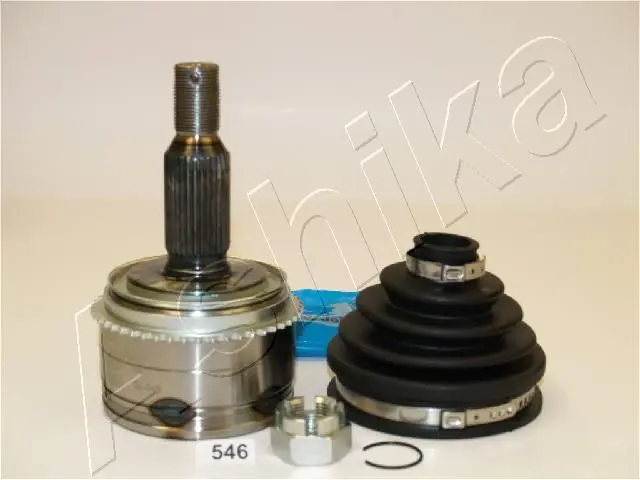 Ashika 6205546 Шарнирный комплект