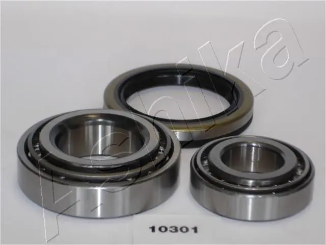 ASHIKA 4410301 Комплект подшипника