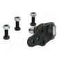 ASHIKA 730CC03