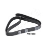 1127PK1550 ASHIKA Ремень