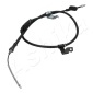 ASHIKA 1310KK30L