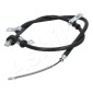 ASHIKA 1310KK17L