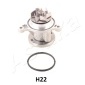 ASHIKA 350HH22