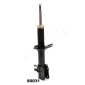 ASHIKA MA80031