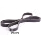 ASHIKA 1126PK2275