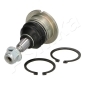 730LL03 Ashika Шарнир