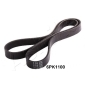 ASHIKA 1126PK1100