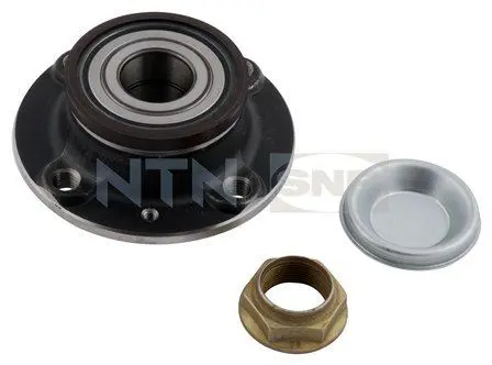 SNR R15950 Ступица задн. в сборе с