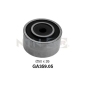 GA35905 SNR РОЛИК ОБВОДНОЙ CIT JUMPER/PGT