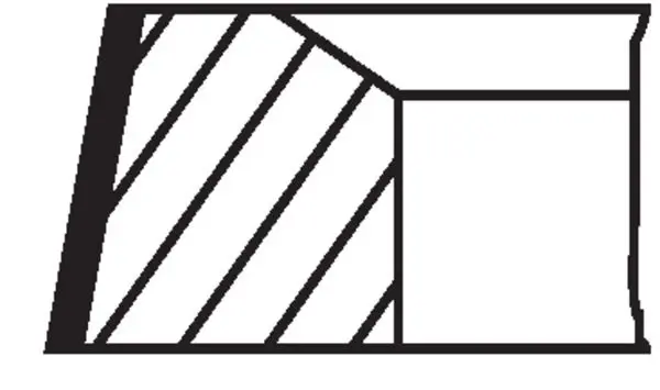 028 RS 10101 0V0 Кольца dm.82.50 STD
