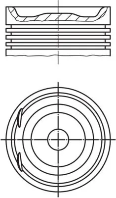 MAHLE 0122003 Поршень