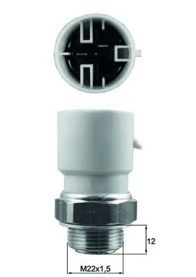 TSW61 Temperature Switch