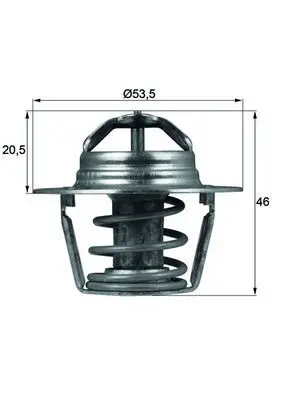 MAHLE TX9189D Термостат RENAULT Clio,
