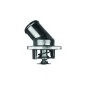 MAHLE TI387