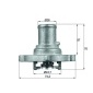 TI12287D Термостат интегрированный